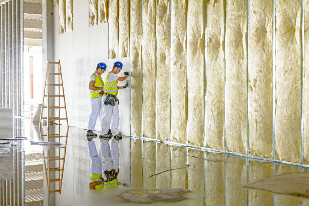 Best Types of Insulation in New Chicago, IN